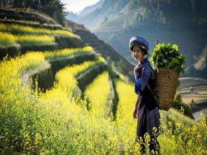 Miền Bắc hùng vĩ